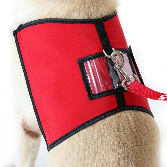 Het zachte Padde-Vest van de Neopreenhond, het Klassieke Stevige Vest van de Neopreenuitrusting voor Kleine Honden